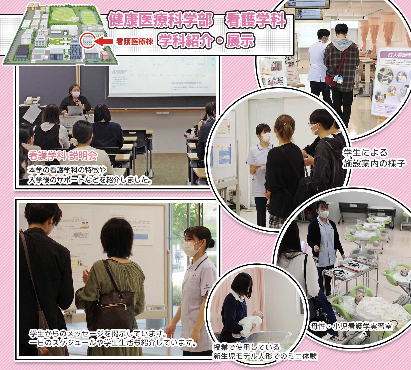 看護学科
