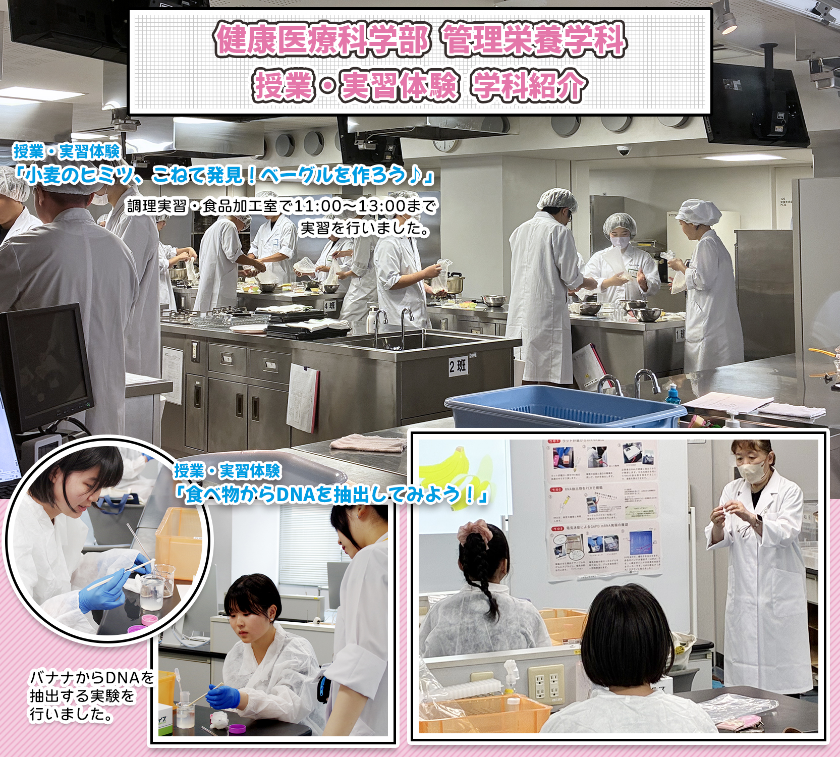 授業・実習体験